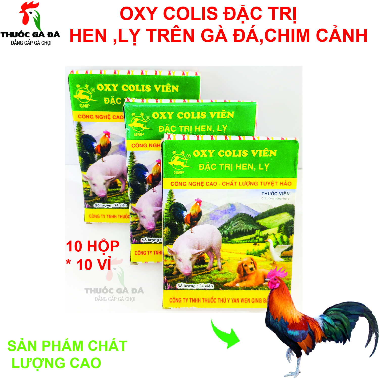 10 hộp oxy colis chuyên viêm ruột tiêu chảy, phân trắng, phân xanh, phân nhớt vàng...trên gà đá,gia cầm