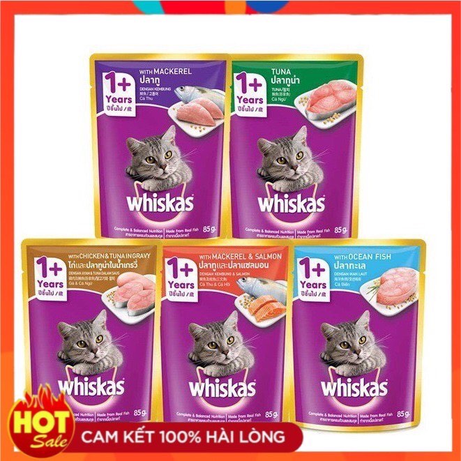 Combo 6 gói pate whiskas cho mèo lớn gói 80g mix vị