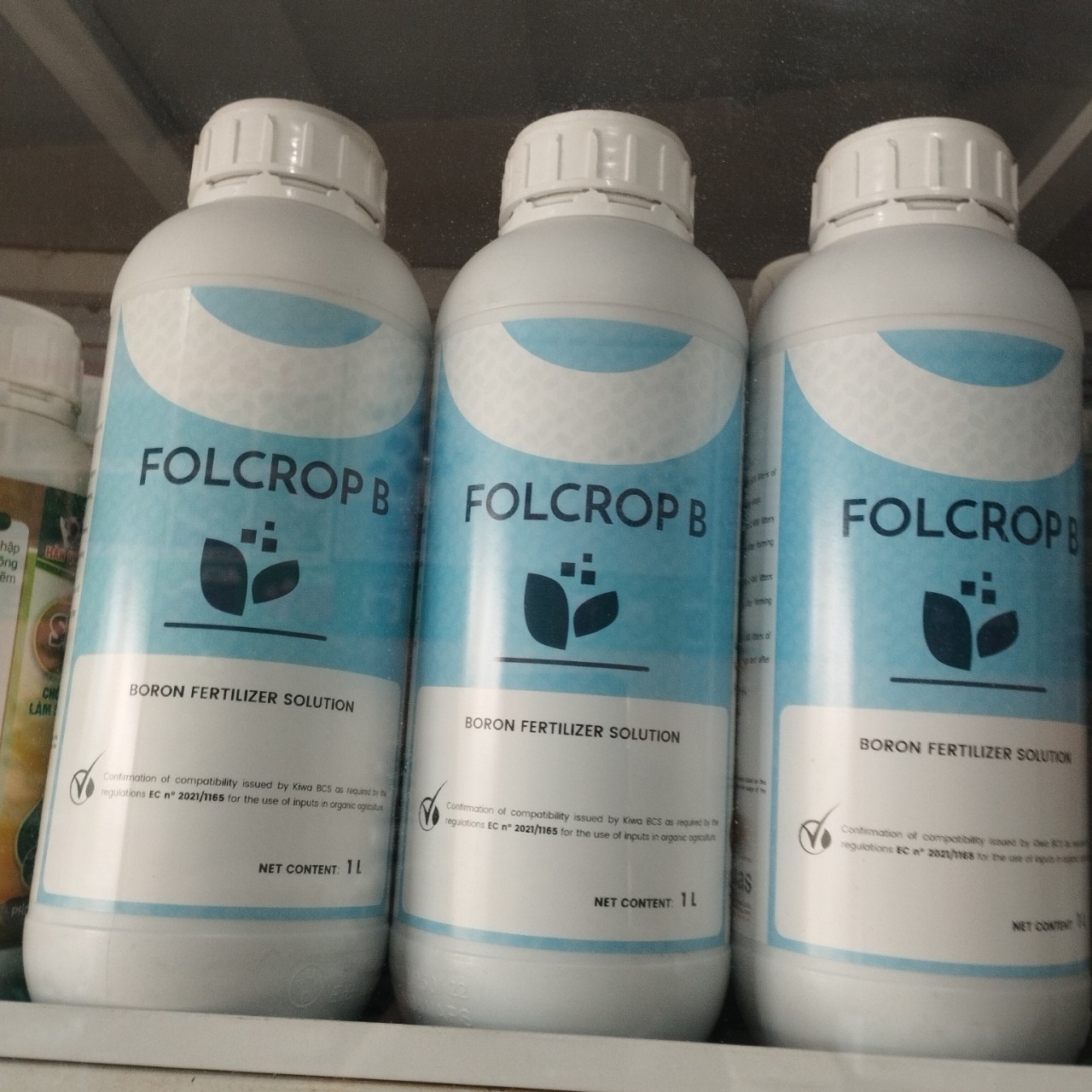 BO FOLCROPB   TÂY BAN NHA