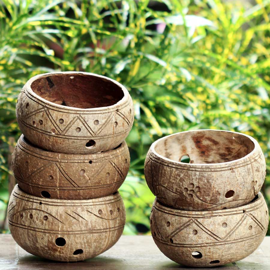 Ihàng đẹpi set 5 gáo dừa trồng lan i cây cảnh