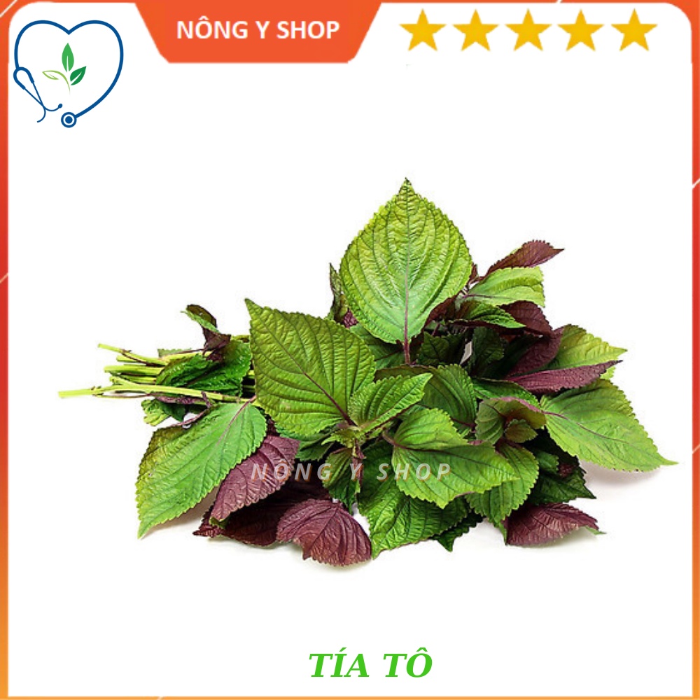 Gói 2.5g - túi zip 100 hạt - giống tía tô rạng đông rado 78