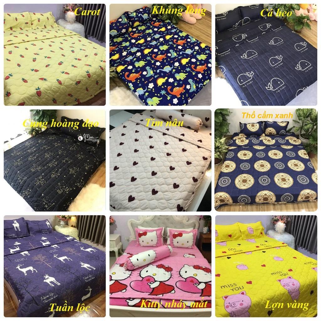 Vỏ gối nằm poly cotton nhiều mẫu đồng màu ga