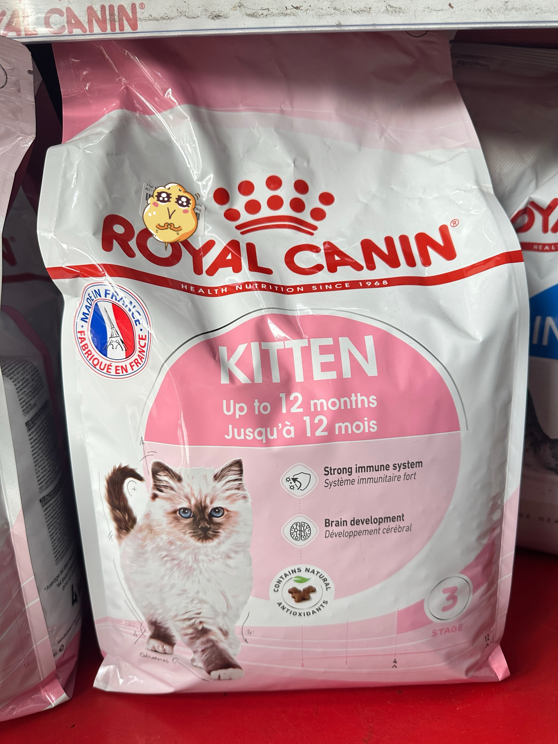 Chó Mèo Royal Canin British Shorthair Kitten 10 Kg Royal Canin