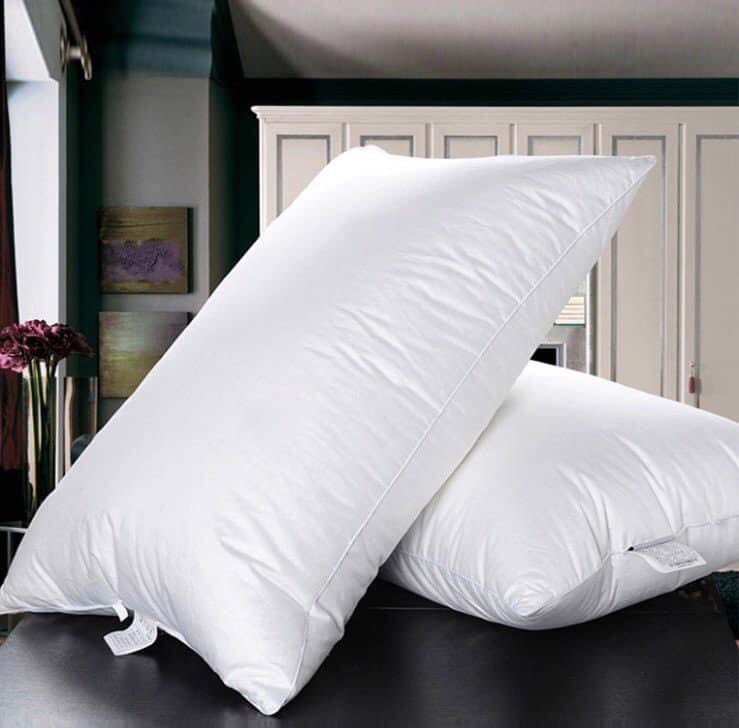 Combo 2 Ruột gối khách sạn cao cấp khách sạn 5 sao lông vũ