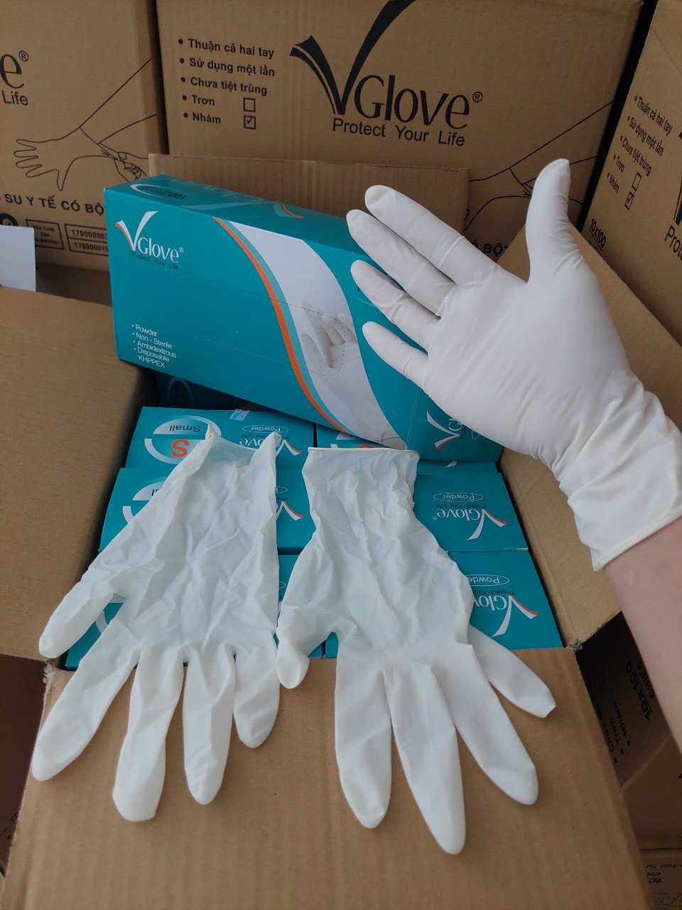 Găng tay y tế vglove size m