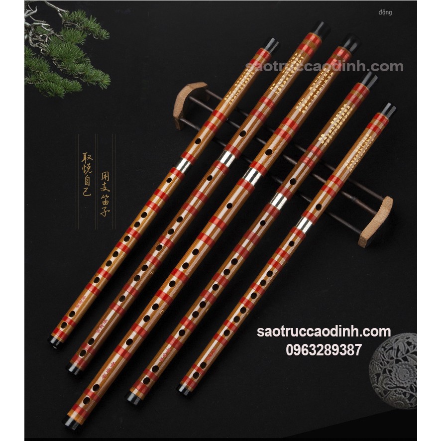 Sáo Dizi Cao Cấp - Dong Xuehua 8881, phân phối chính hãng Sáo Trúc Cao Định