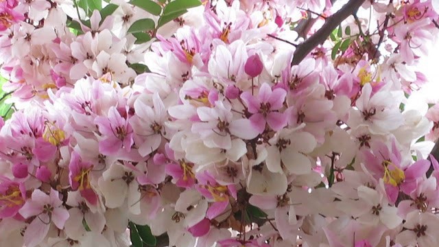 FTBCxi1upgx1QBXObMv3_simg_d0daf0_800x1200_max.jpg