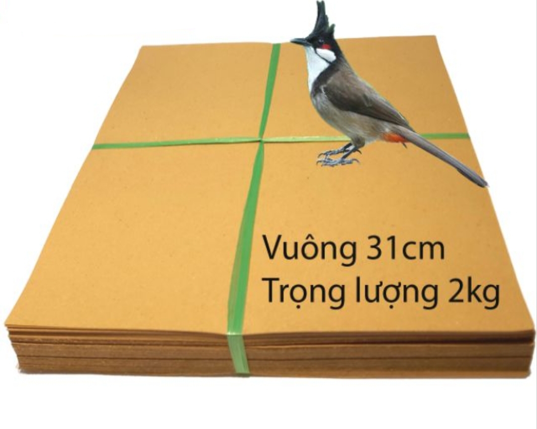 2kg giấy lót phân chim-Vàng - 17 nan