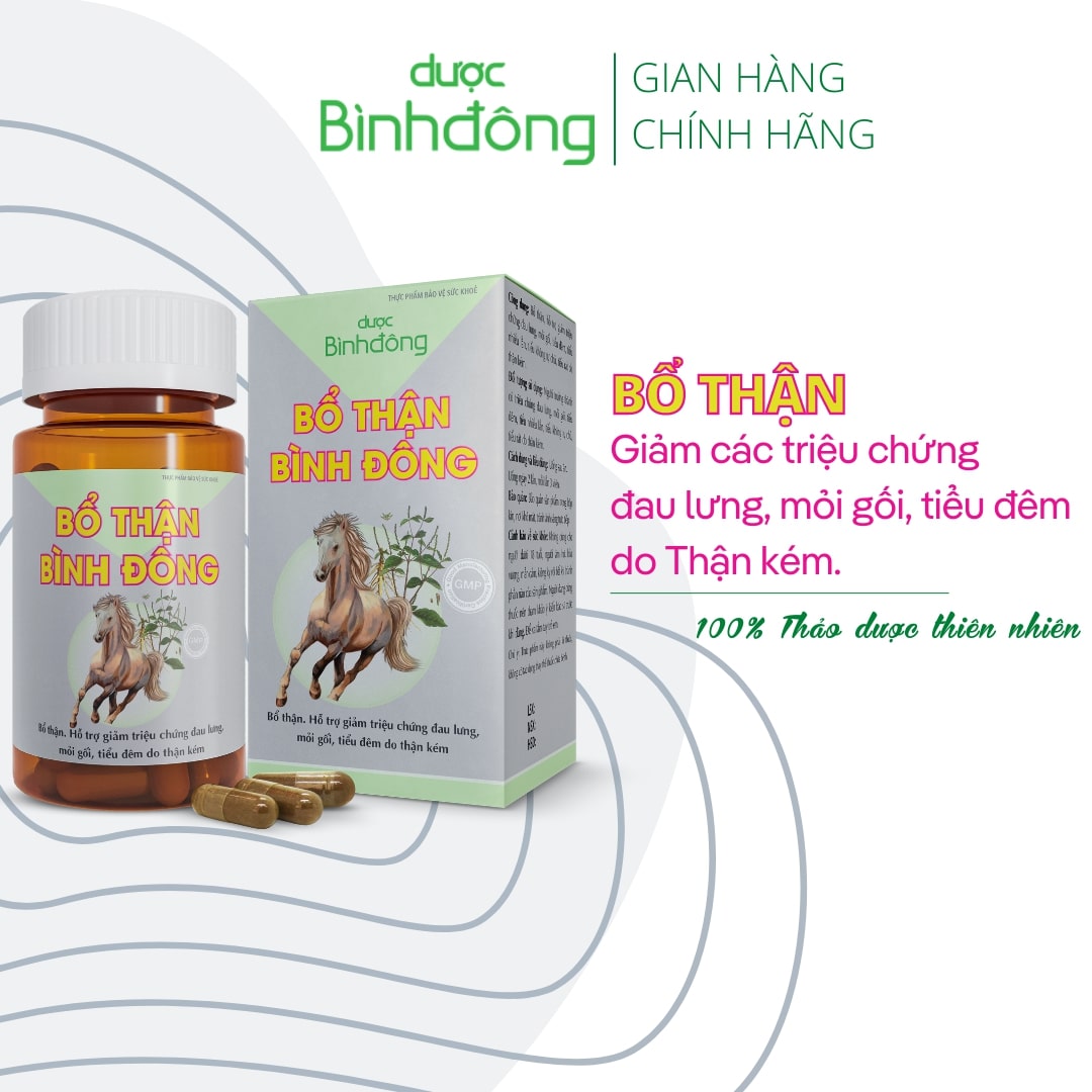 Bổ Thận Bình Đông - Bổ thận, giảm triệu chứng đau lưng, mỏi gối, tiểu đêm – hộp 60 viên nang