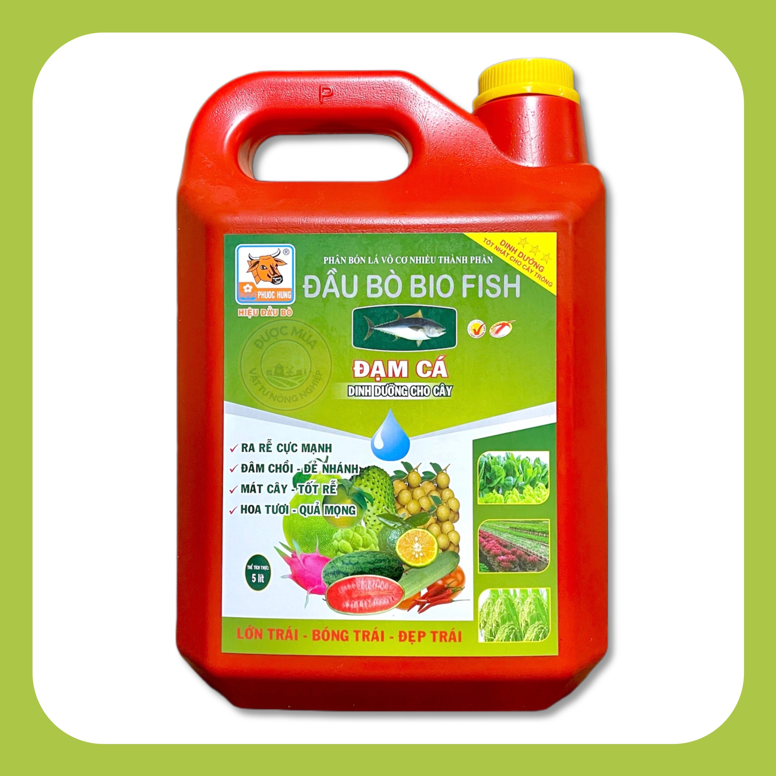 Đạm cá - phân bón lá hiệu đầu bò phước hưng ra rễ cực mạnh, mát cây, tốt rễ, hoa tươi, quả mọng