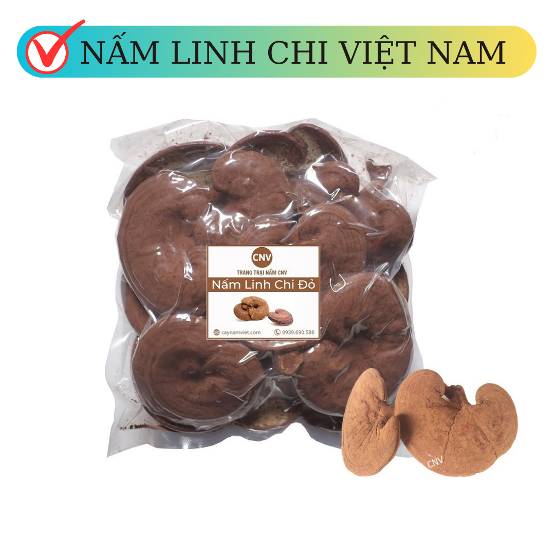 Nấm linh chi đỏ cao cấp cnv 250g