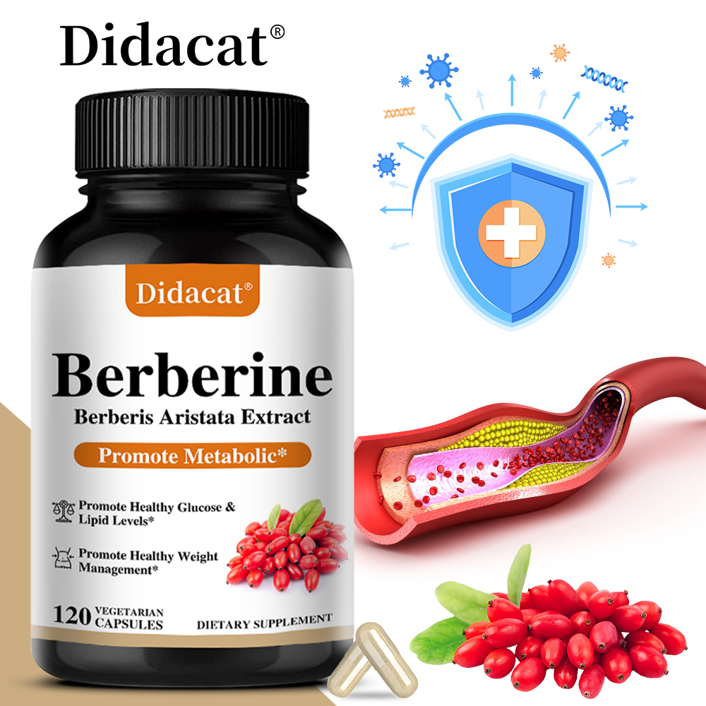 Thực phẩm bổ sung Didacat 500mg Berberine | 120 Viên nang Thuần chay | Hỗ trợ đường huyết, mỡ máu, chuyển hóa và quản lý cân nặng