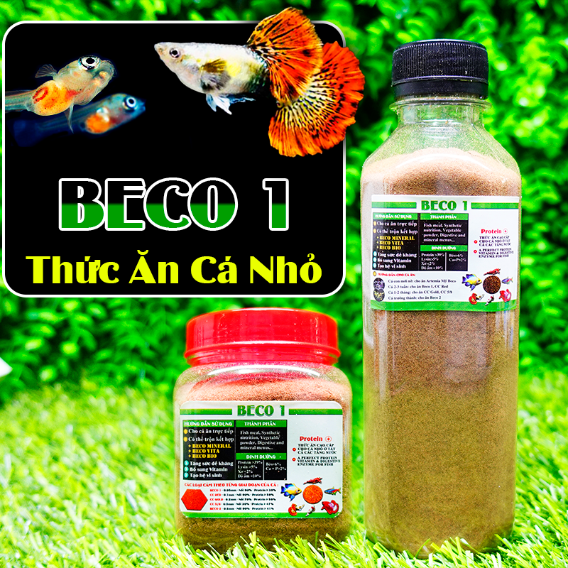 Cám Beco 1 - Thức ăn cá con 🐠 BETTA COFFY