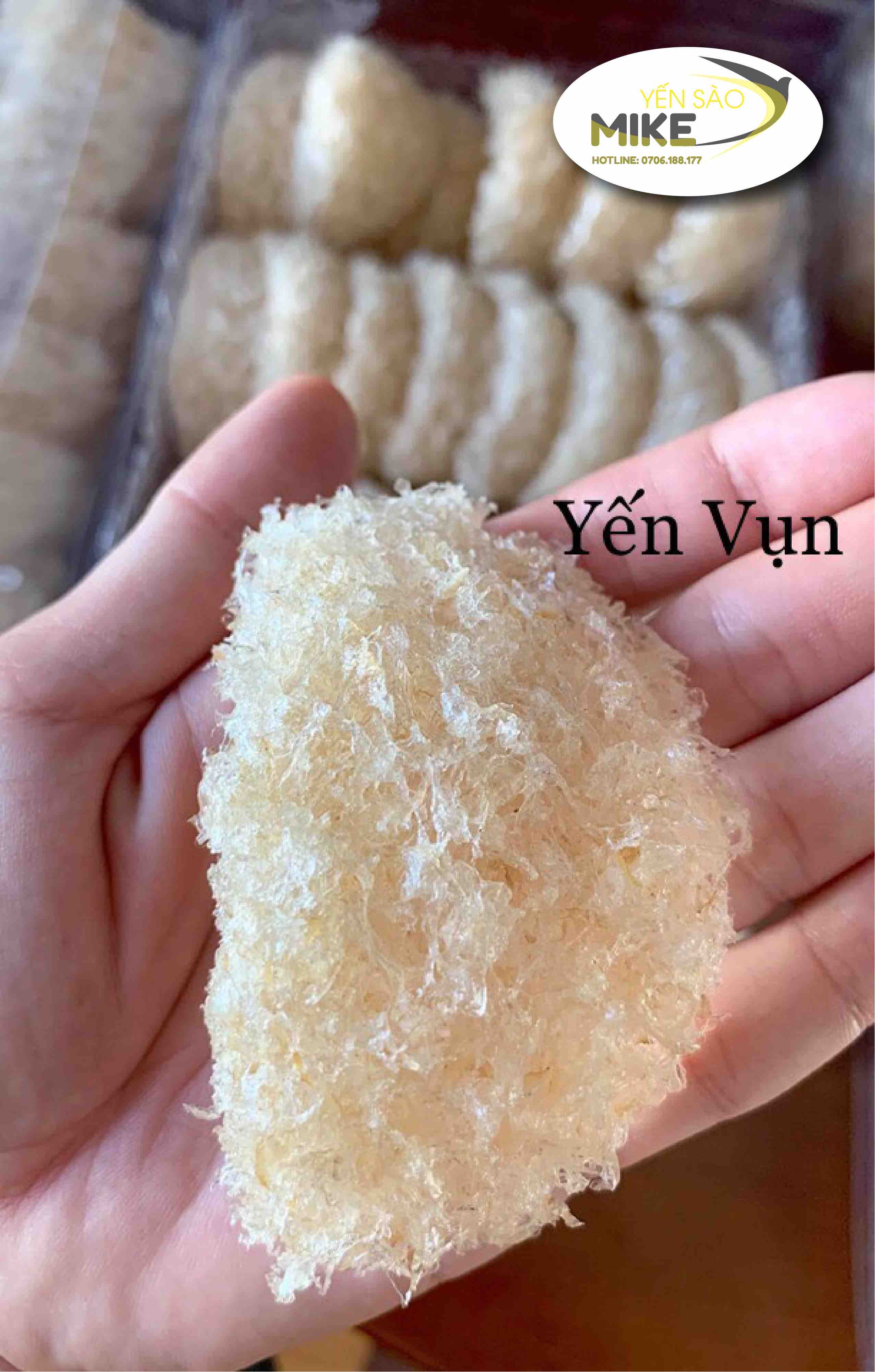 Yến Vụn Khánh Hoà - Yến Vụn Mike 50g - Tặng đường phèn và Táo Đỏ Hàn Quốc