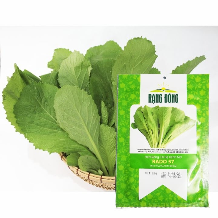 Hạt giống cải bẹ xanh mỡ rado 57 rạng đông gói 20gram