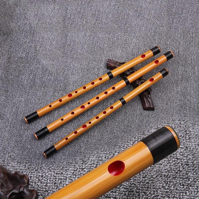 [Hien fashion]  Sáo Trúc Tone Đô (C5) Dành Cho Người Mới Tập