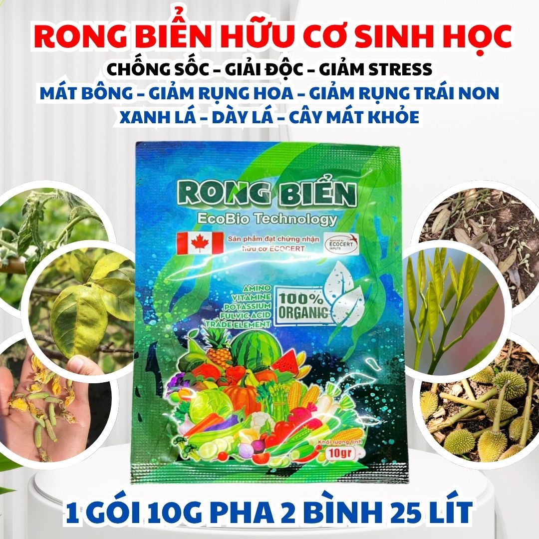 Phân Bón Lá Rong Biển Hữu Cơ Sinh Học – Mát Cây, Mát Bông, Lớn Trái, Xanh Lá, Cải Tạo Đất, Chống Sốc, Giảm Stress, Cây Khỏe, Lá Dày, Trái Dép Đẹp, Đất Tơi Xốp