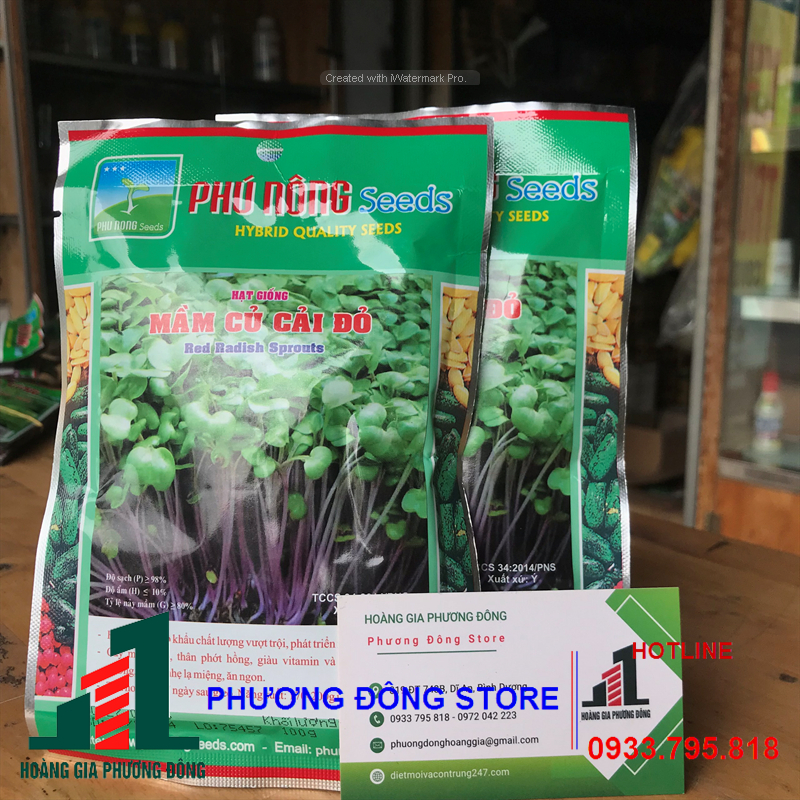 Combo 5-10 gói hạt giống rau Mầm củ cải đỏ nảy mầm cao, sinh trưởng tốt - gói 30g , gói 100g
