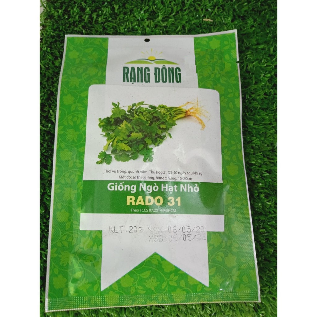 Hạt giống rđ - ngò hạt nhỏ 31