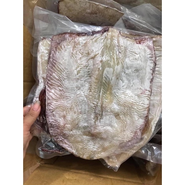 1kg mực lá khổng lồ size 3,4 con/kg có râu