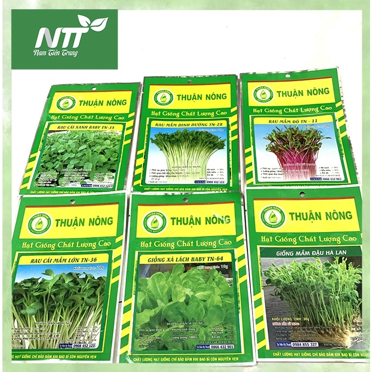 COMBO 10 gói hạt giống Rau Mầm dễ trồng, thu hoạch nhanh