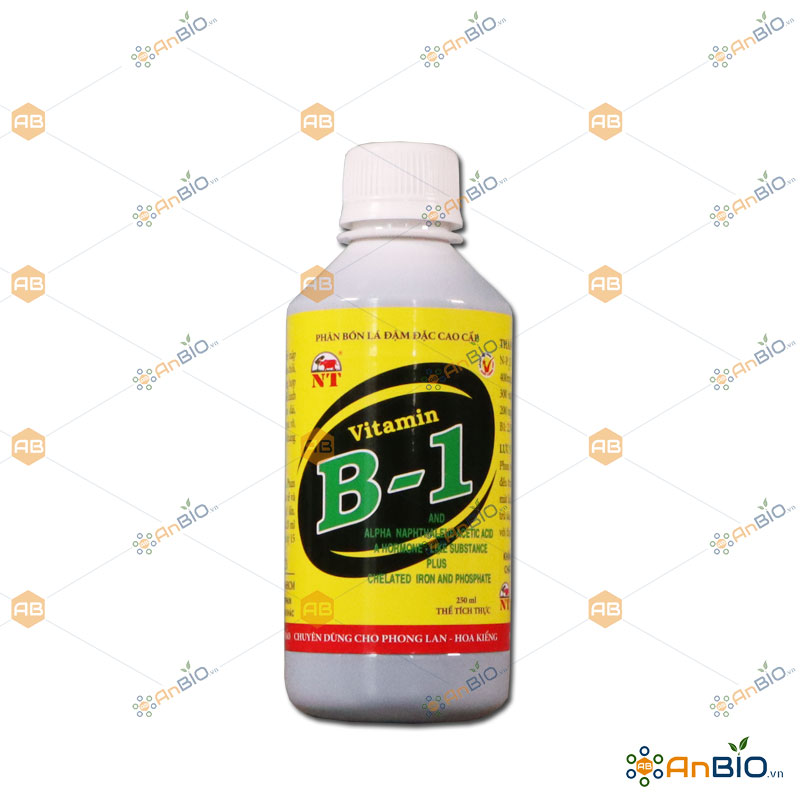 [HCM]Phân bón LAN NT VITAMIN B1 - Chai 250ml - C1.1001