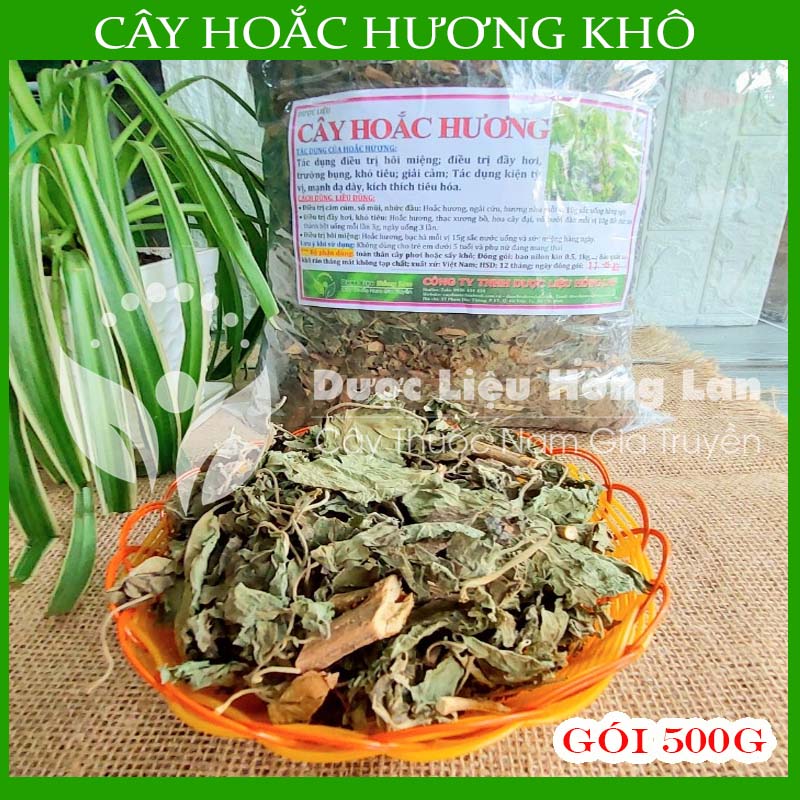 Cây hoắc hương khô đóng gói 500g - hàng công ty loại 1