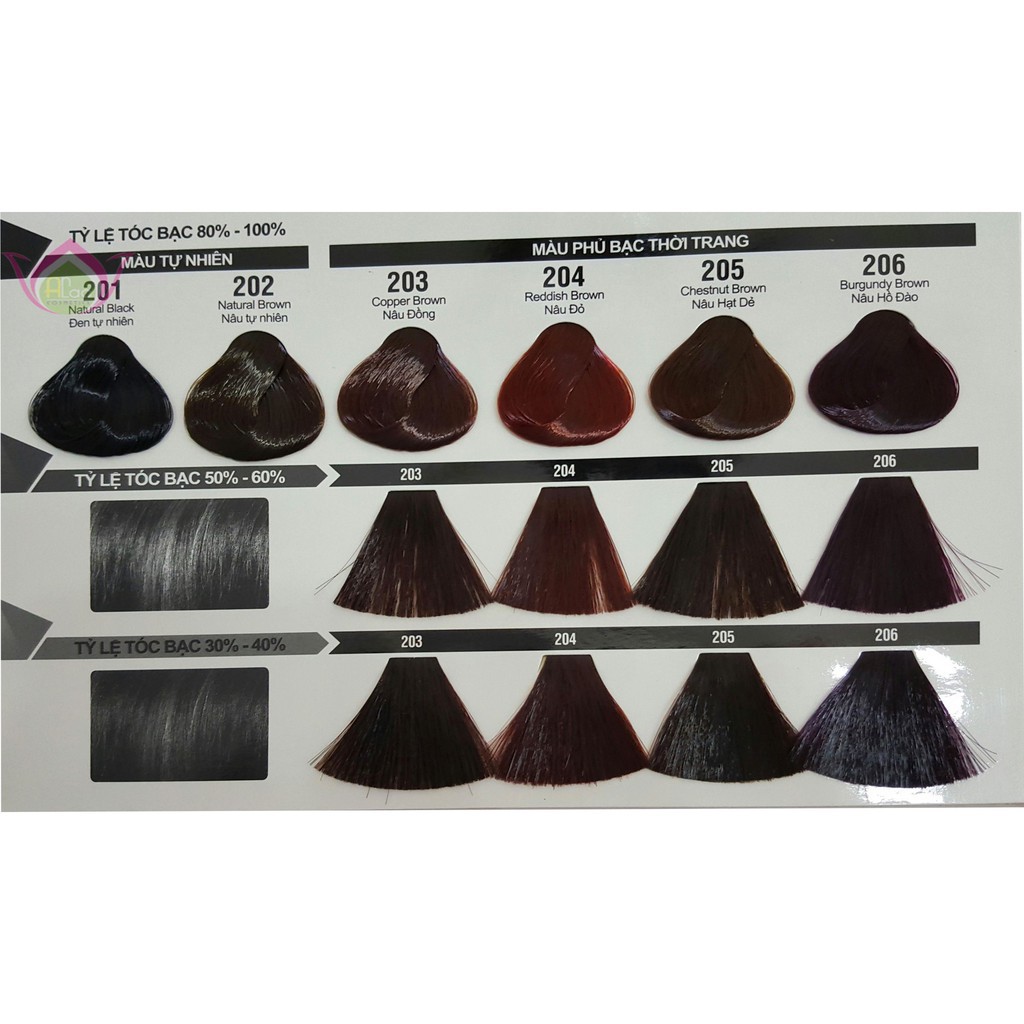 Thuốc Nhuộm Tóc Bạc Young Thời Trang 60Gr|Đen Tự Nhiên 201
