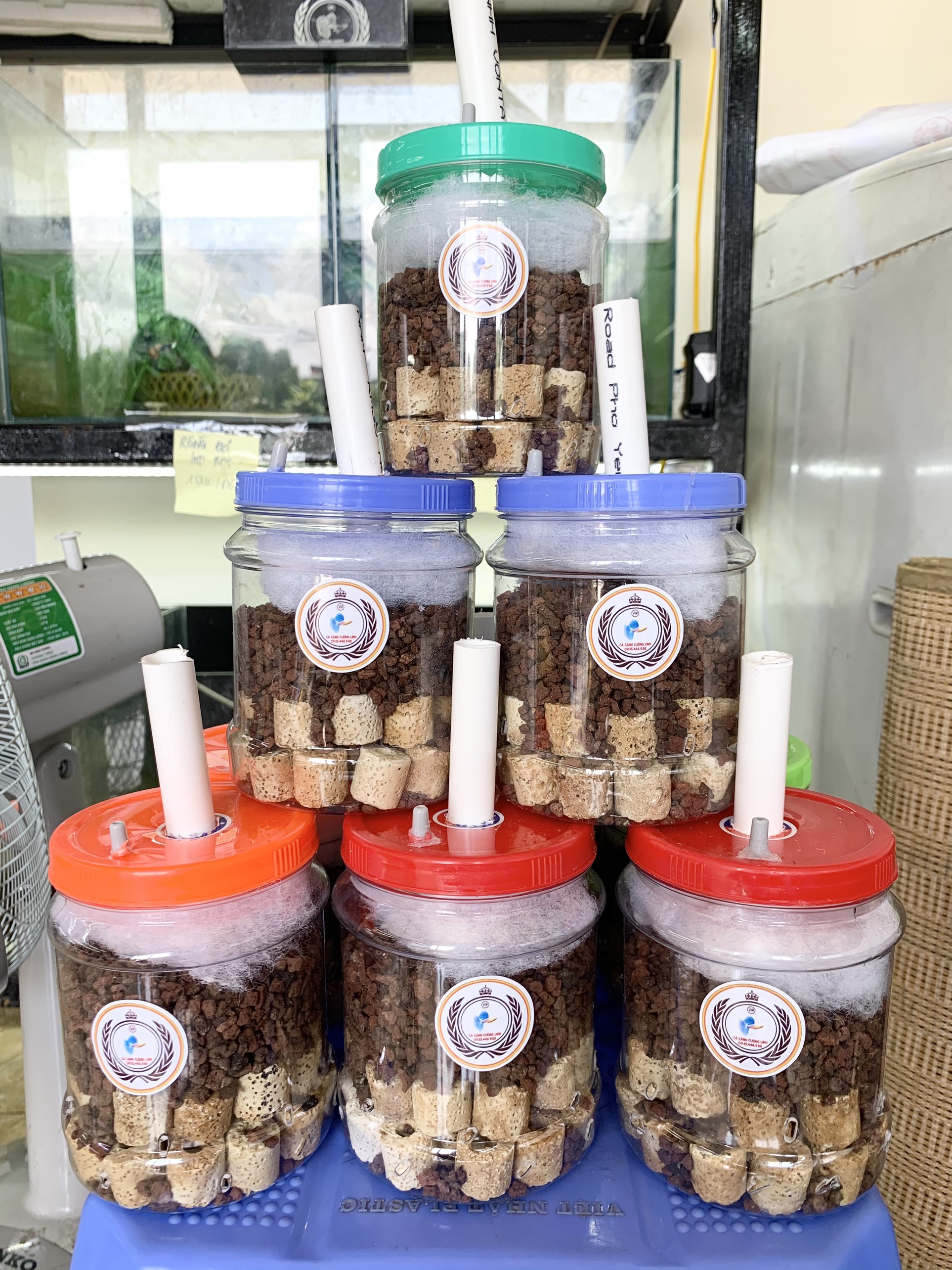 Lọc bio vi sinh tự chế