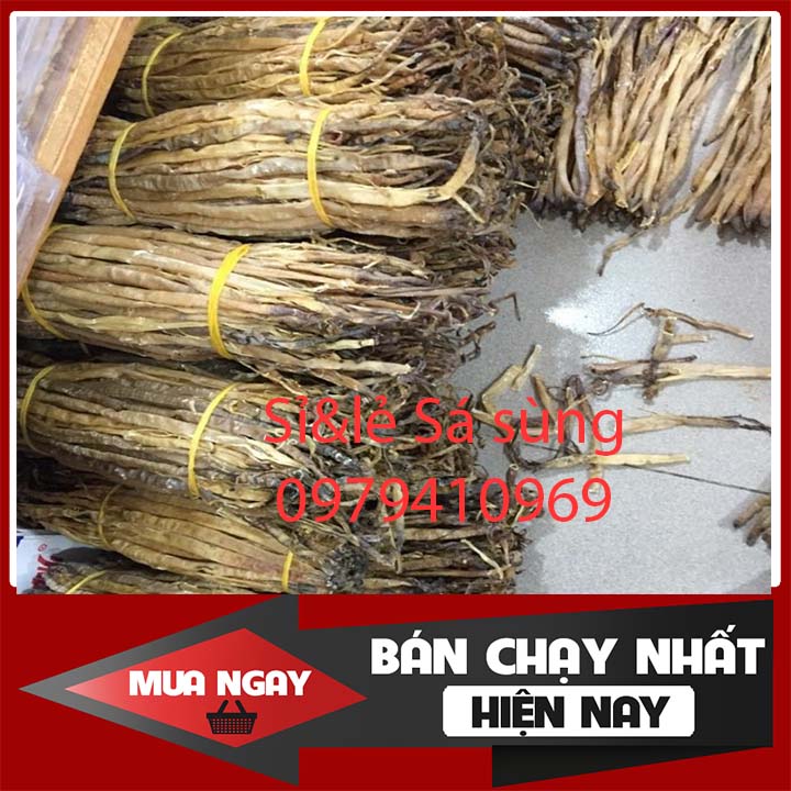 Sá sùng cỡ đại sạch cát nha trang 500gr - sá sùng sạch cát nấu phở ngon ngọt