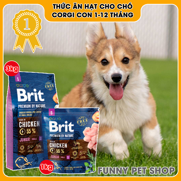 Thức ăn khô cho chó con Corgi 1-12 tháng tuổi vị thịt gà cao cấp