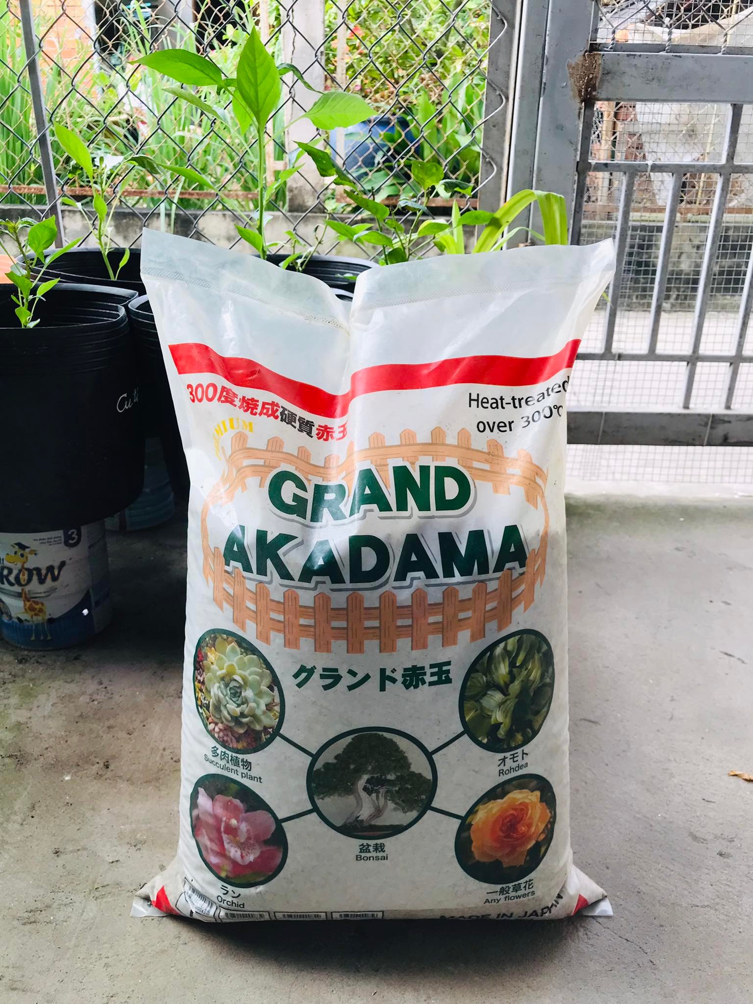 Đá Akadama size - Phân nền Nhật bản