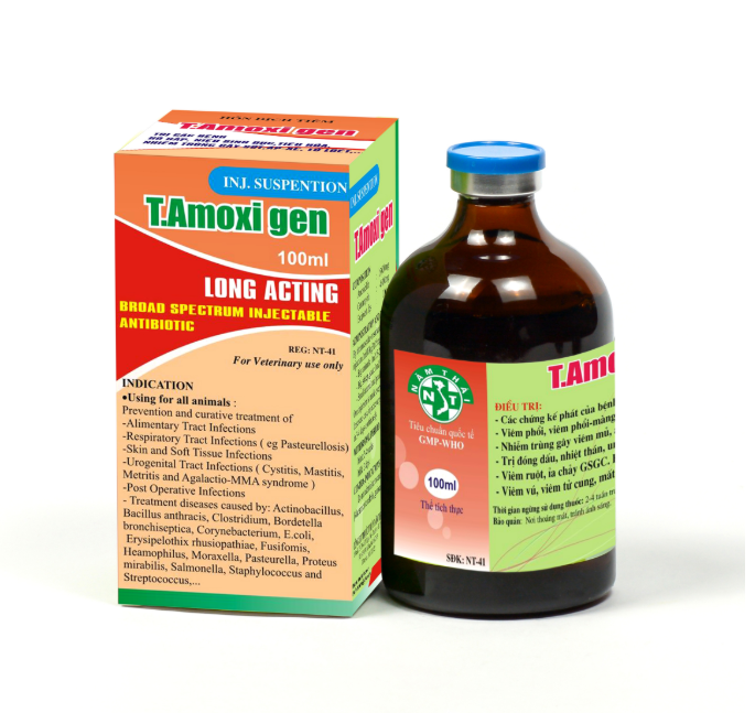 NĂM THÁI TAMOXYGEN 100ml viêm phế quản, viêm phổi, crd, ccrd, nhiễm trùng