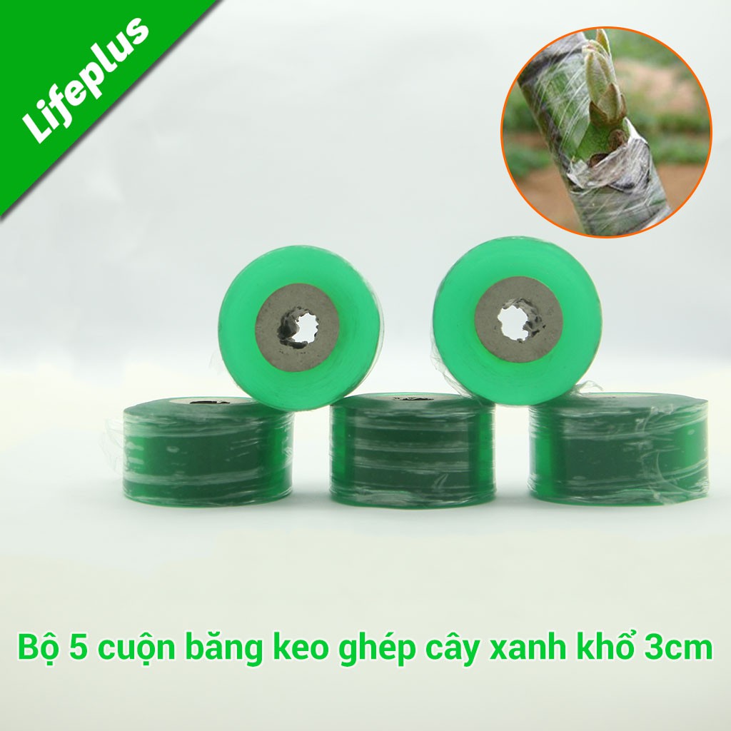 [COMBO SIÊU RẺ] Bộ 5 Băng dính chiết ghép cành - Cuộn phim ghép cây - Băng ghép cành tự dính - Băng cuốn ghép cây