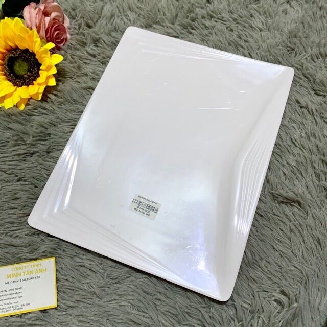 [Ảnh thật] [Có sẵn] Đĩa Hình chữ nhật lớn màu trắng fataco DCN20