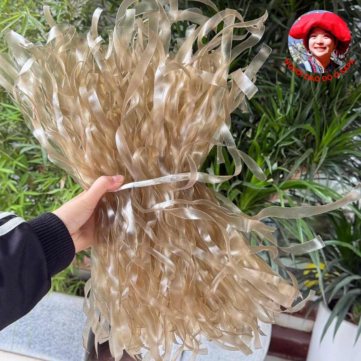 (1kg) Đặc sản miến dong khoai sâm đất. Miến dong thái tay sợi to, sợi nhỏ từ củ dong Tây Bắc, khoai sâm đất Sìn Hồ
