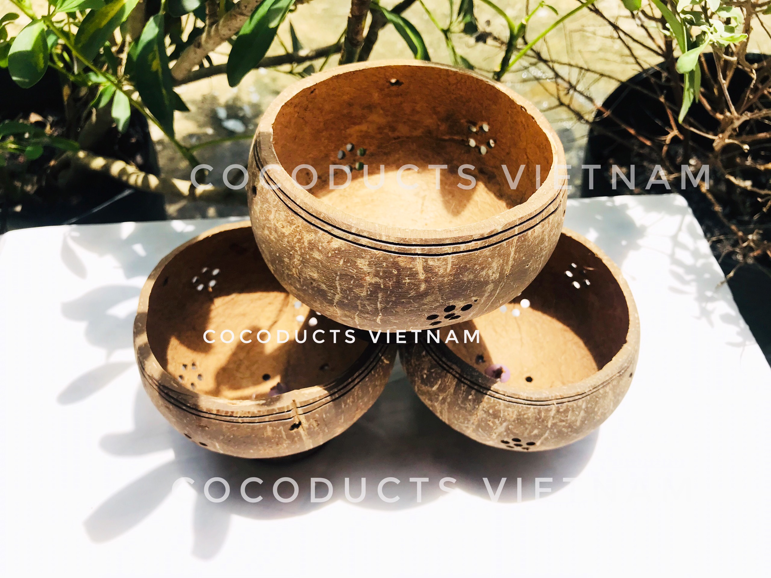 [HCM]Vỏ gáo dừa trồng lan xinh xắn