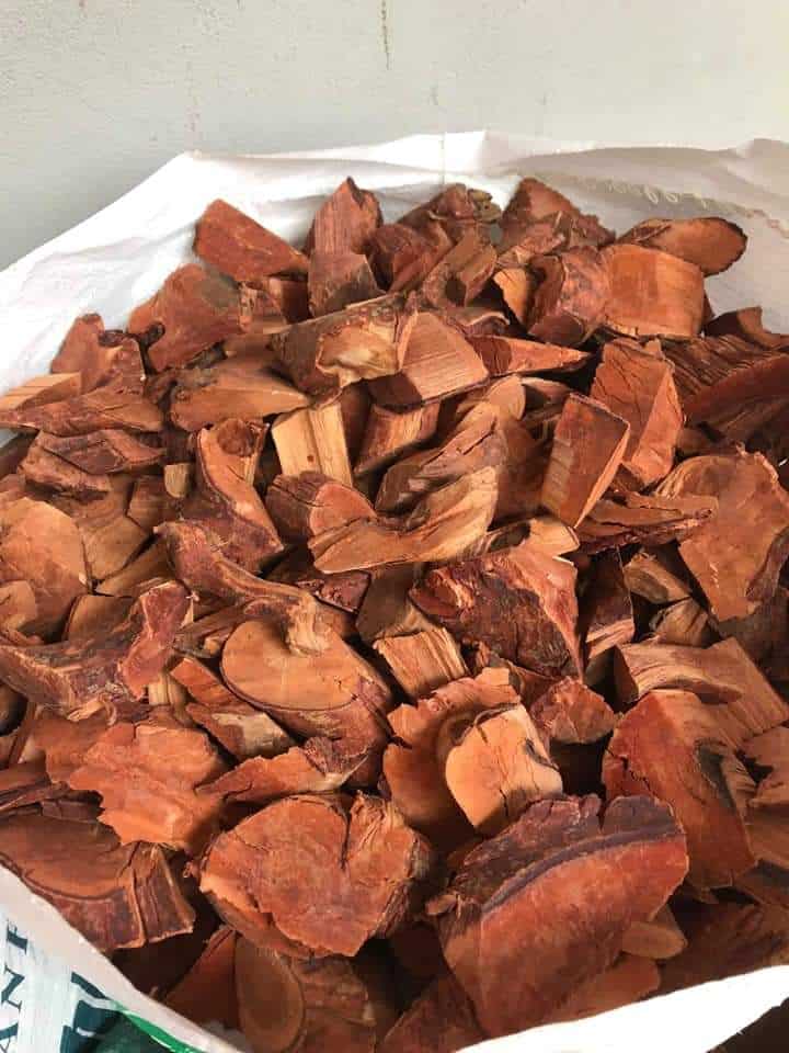 Thân cây mú từn dùng ngâm rượu - đặc sản tây bắc - đặc sản 27