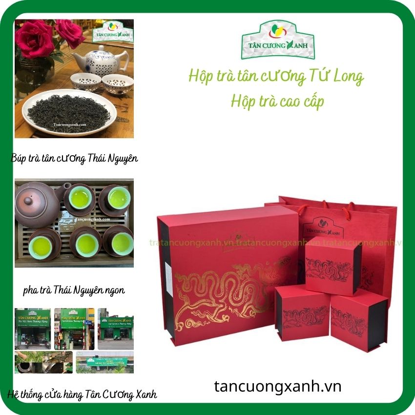 400gram chè Thái Nguyên Hộp trà tứ long TÂN CƯƠNG XANH hộp trà cao cấp 100% trà búp tân cương