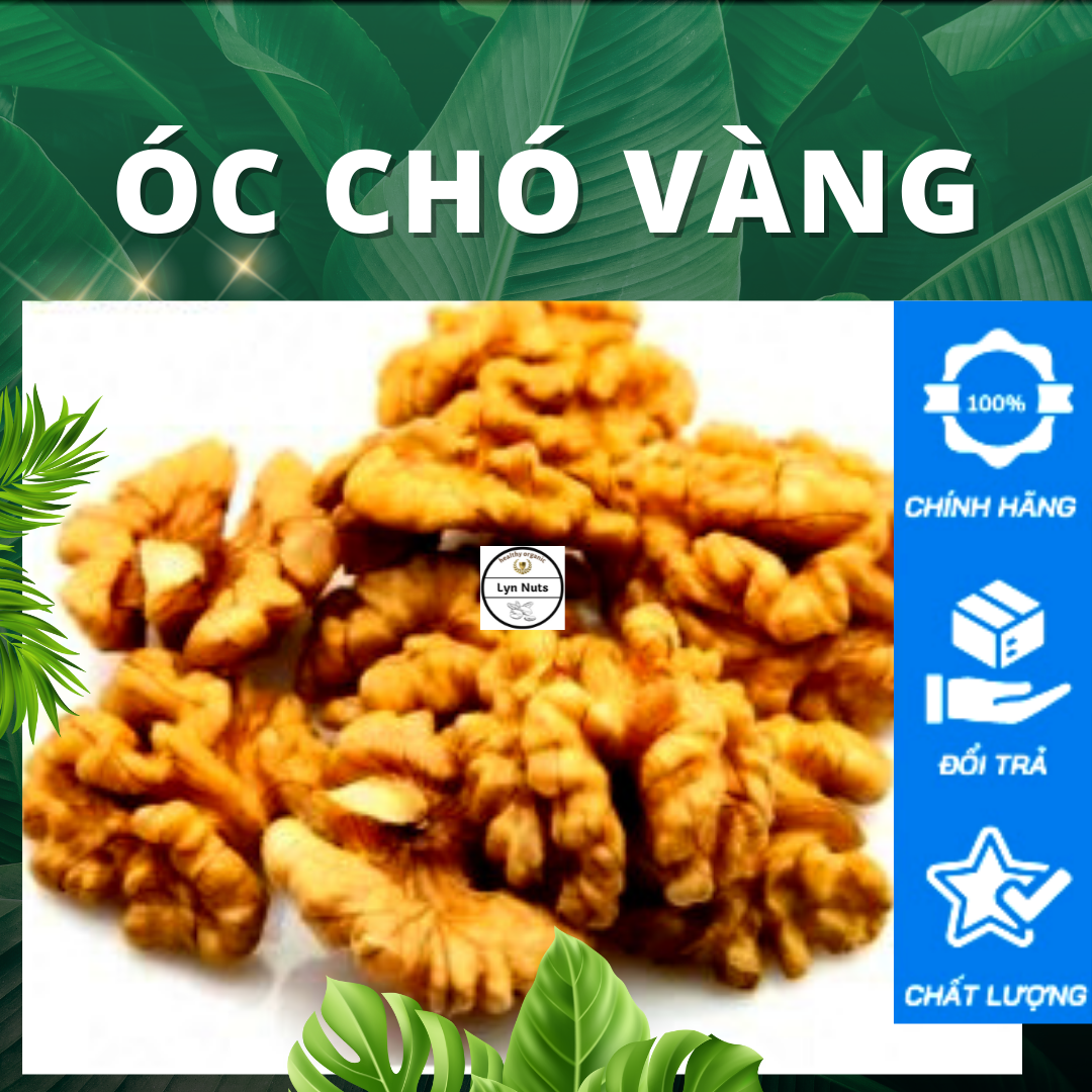 500gr nhân óc chó vàng mỹ đã tách vỏ sấy chín lyn nuts