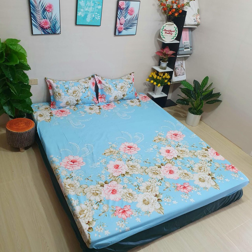 Ga Giường đai thun Gồm 3 màu, Ga gối Hoa 5 cánh, Ga gối Trà Xanh, Ga Gối Cúc Trắng. Bộ sưu tập ga gối Hoa lá đẹp bà béo Bedding