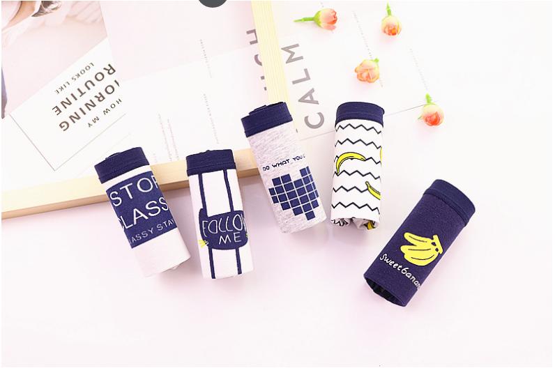 Set 5 quần lót cotton cao cấp