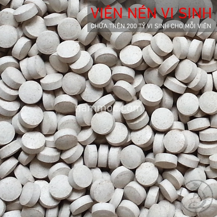 Vi sinh viên - vi sinh dạng viên nén cho hồ cá cảnh hồ thuỷ sinh