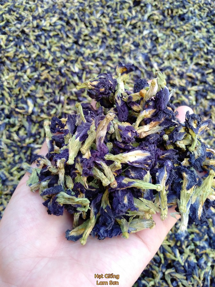 Trà hoa đậu biếc sấy khô 100gr nhà trồng
