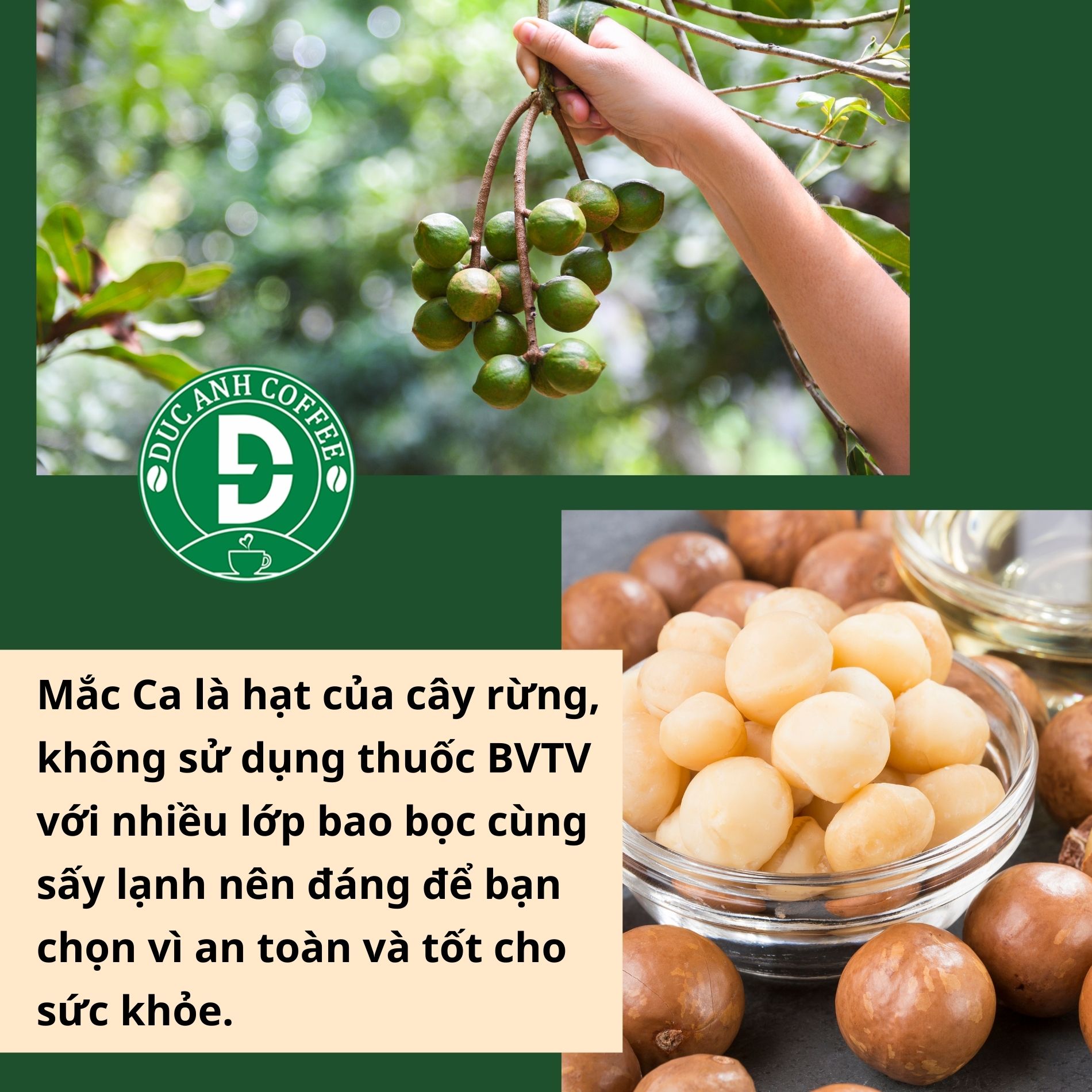 Trải nghiệm hạt Mắc Ca Sấy Lạnh nứt vỏ ĐĂK LĂK loại A+ăn liền giữ trọn dinh dưỡng tốt cho bà bầu, trẻ nhỏ, túi ép chân không có hút ẩm