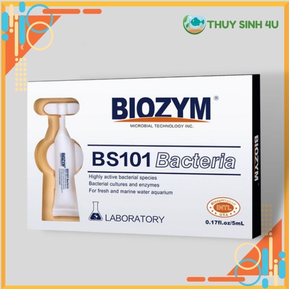 Vi sinh gốc Biozym BS 101 cao cấp siêu mạnh