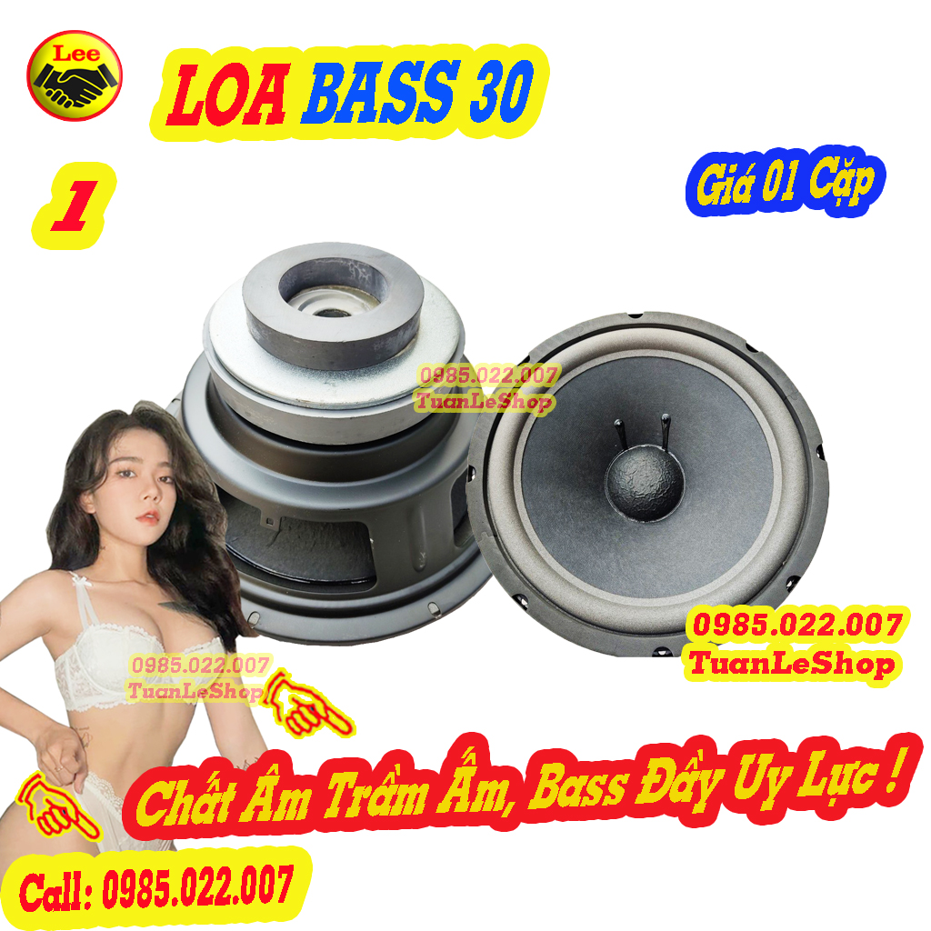 02 LOA BASS 30 GÂN MÚT COIL 65.5 TỪ KÉP KIỂU BMB – GIÁ 01 CẶP LOA BASS 3 TẤC TU KEP
