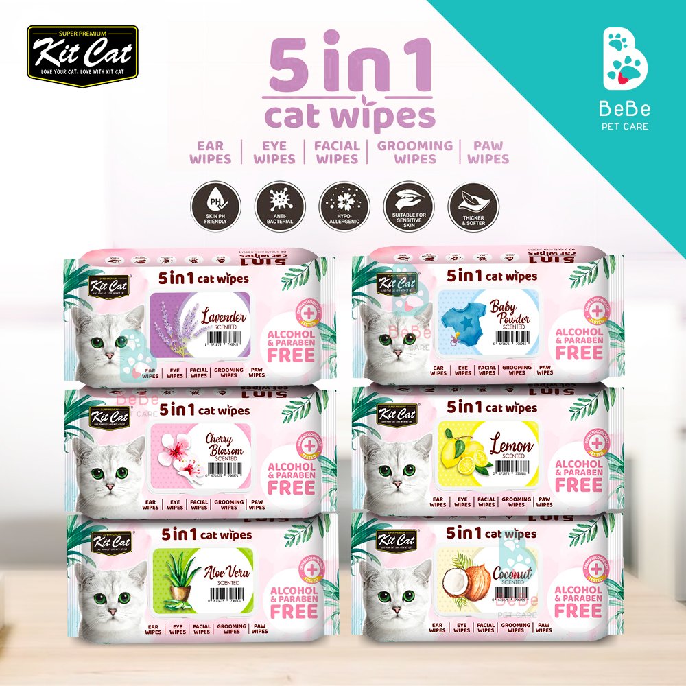 Khăn giấy ướt đa năng kháng khuẩn kitcat 5n1 - lau vệ sinh hoặc tắm khô cho thú cưng - túi 80 miếng