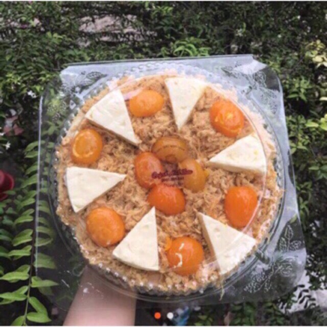 Set 10 Hộp Đựng Bông Lan Trứng Muối H26