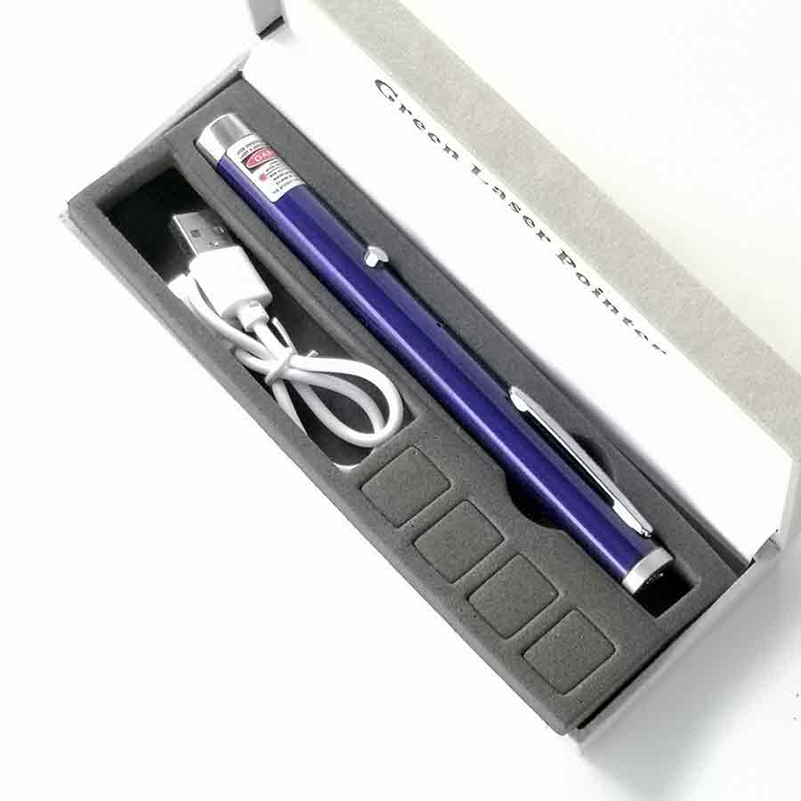 [HCM]Đèn Laze Bút Laser Tia Xanh Lá Sạc Cáp USB Cao cấp